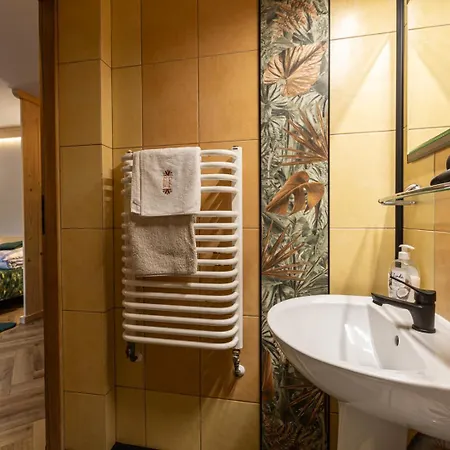 Gubałówka Dream Apartamento *